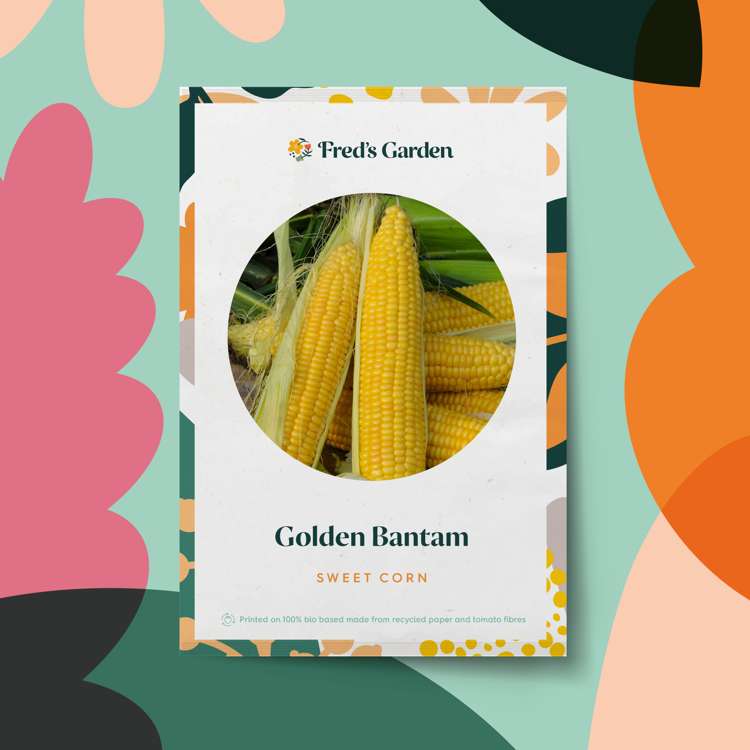 Majs 'Golden Bantam' (frö)